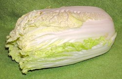 Brassica rapa subsp. pekinensis