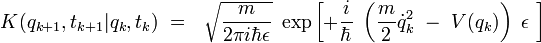 K(q_{k+1},t_{k+1}|q_{k},t_{k})  \ = \  \ \sqrt{\frac{m}{2 \pi i  \hbar \epsilon}} \ \exp \left[ + \frac{i}{\hbar} \ \left( \frac{m}{2} \dot{q}_k^2  \ - \   V(q_k) \right) \ \epsilon \ \right] 