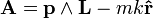   \mathbf{A} = \mathbf{p} \wedge \mathbf{L} - m k \mathbf{\hat{r}} 