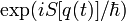 \exp ( i S[q(t)]/\hbar )\,