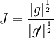 J = \frac{|g|^{\frac{1}{2}}}{|g'|^{\frac{1}{2}}}