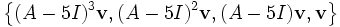 \left\{(A-5I)^3\mathbf{v}, (A-5I)^2\mathbf{v}, (A-5I)\mathbf{v}, \mathbf{v}\right\}
