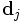 \textbf{d}_j