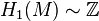 H_1(M)\sim \Z 