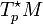 T_p^{\star}M 