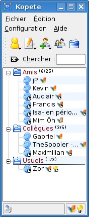 Kopete French.png