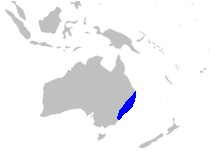 Map-Doryanthaceae.PNG