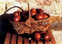 Oeufs de Marans