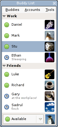 Pidgin 2.0 contact window.png