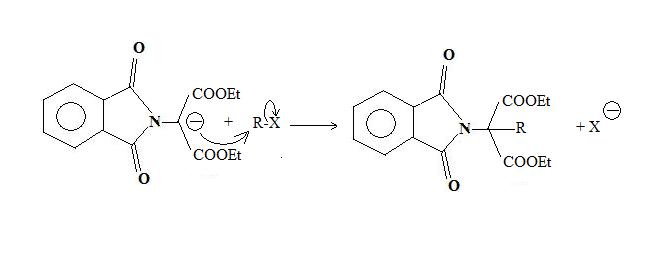 Réaction Gabriel du malonate d'éthyle-substitution.jpg