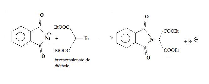 Réaction Gabriel du malonate d'éthyle.jpg