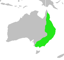 Strepera graculina-map.png