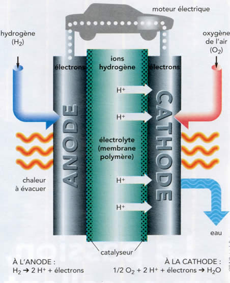 Les piles lithium-ion : Importantes capacités énergétiques, mais aussi  hautement combustibles - CEP Forensique