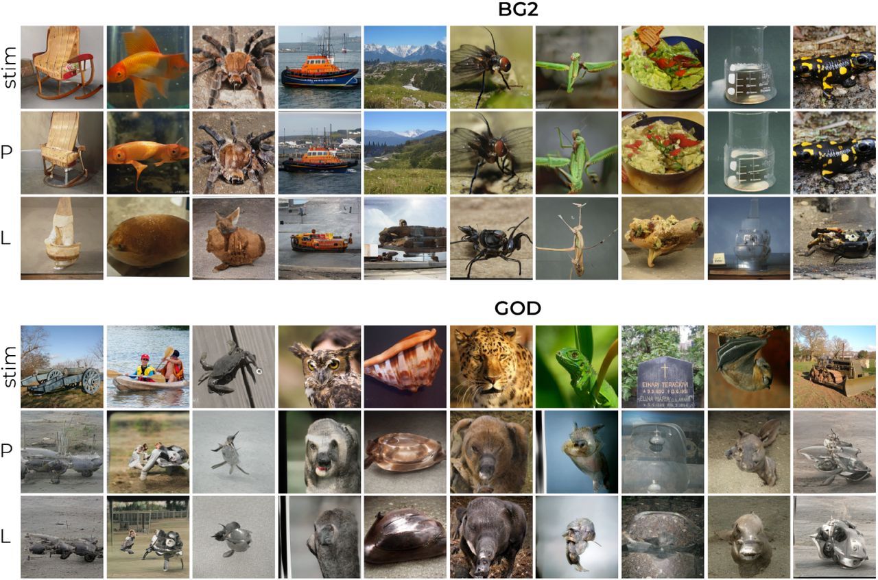 💻 This AI transcribes your thoughts into images with disconcerting reliability (examples)