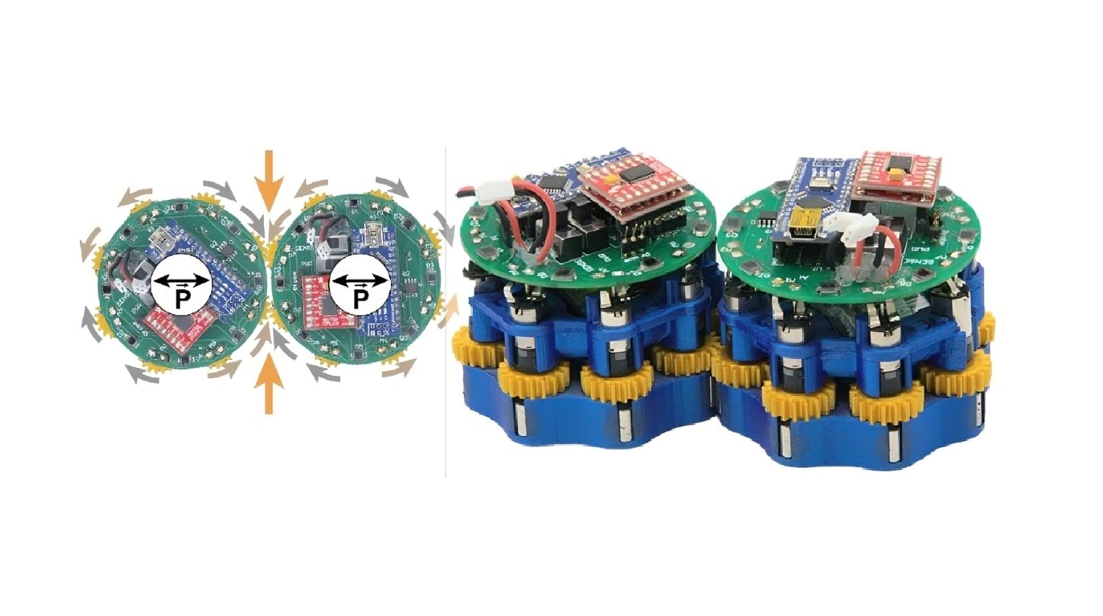 Ces robots changent de forme et de rigidité sur demande ⚙️