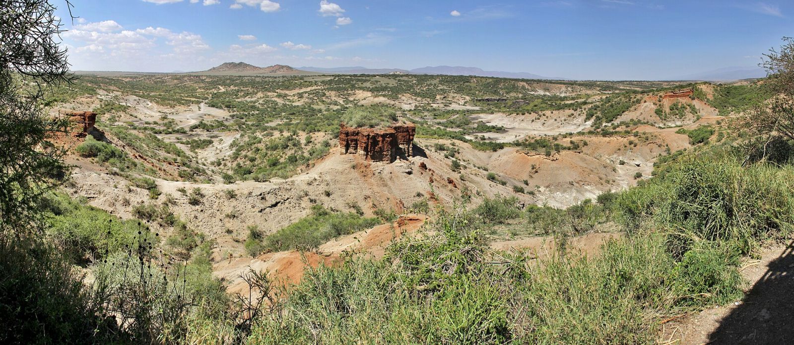 Homo erectus a réussi à s'adapter aux déserts il y a 1 million d'années 