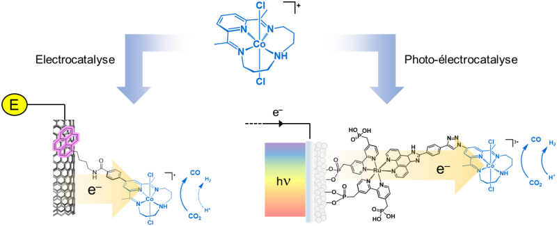 💥 This artificial photosynthesis transforms CO2 into alcohol and hydrocarbons