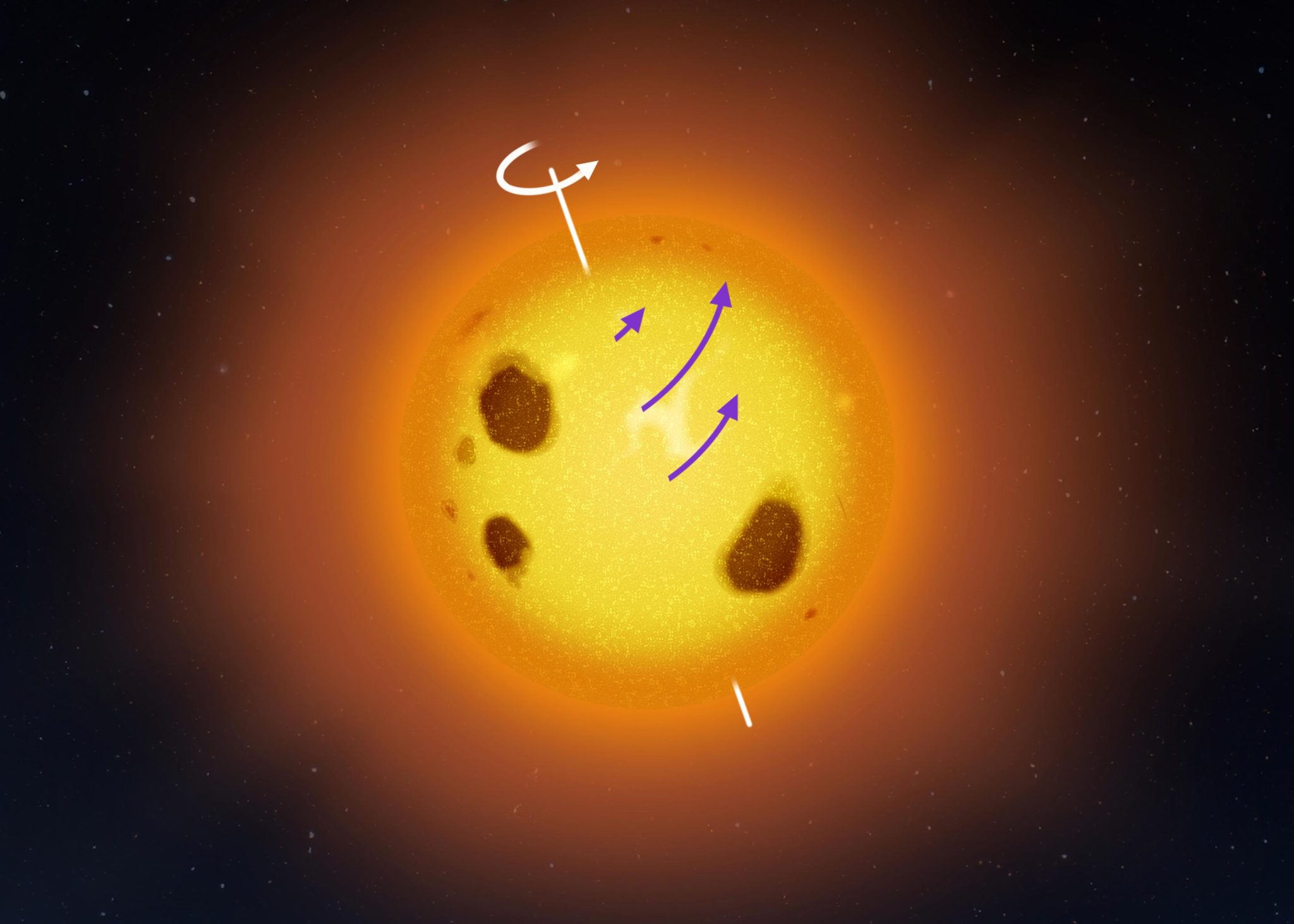 🔭 This star rotates less quickly at the equator: why?