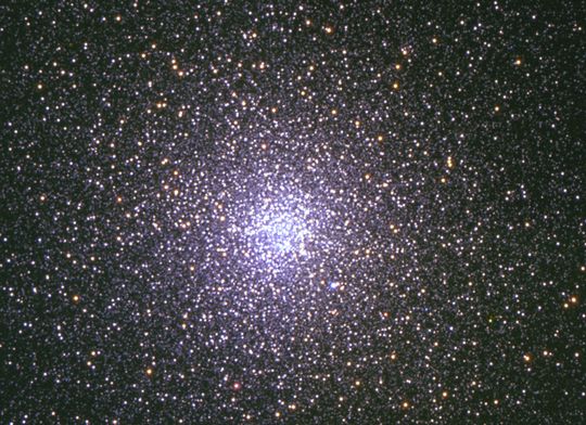 Le Toucan paré d’un joyau d’innombrables étoiles