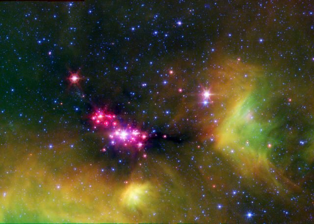 Les jeunes étoiles du Serpent