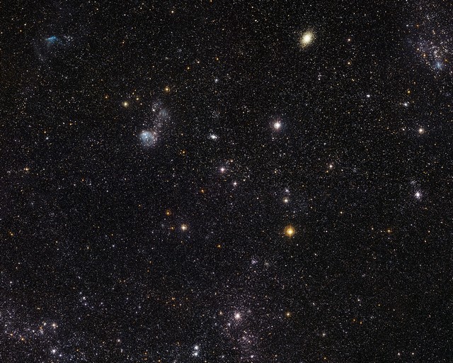 Un zoo cosmique dans le Grand Nuage de Magellan