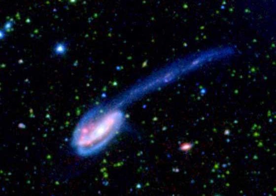 Le halo de la galaxie du Tétard