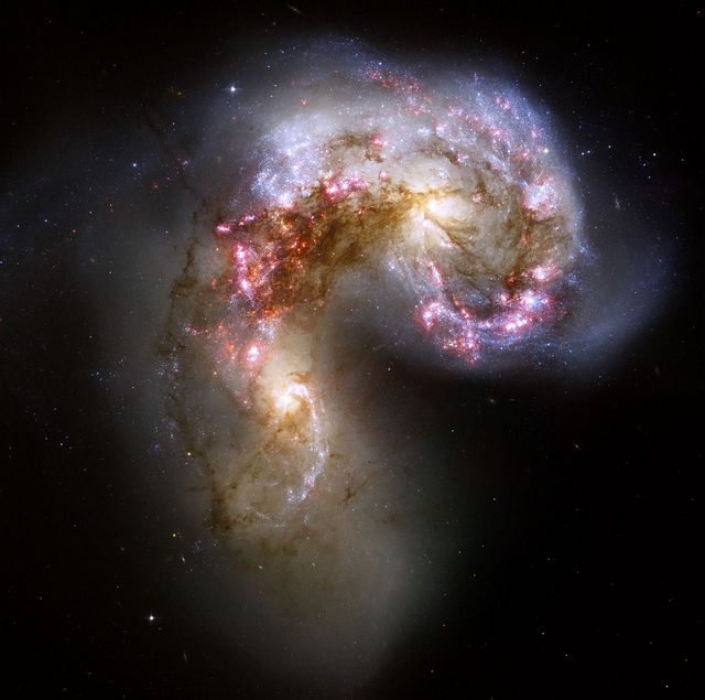 Les « Antennes » : une collision très féconde entre deux galaxies