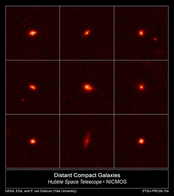 Des galaxies compactes bourrées d'étoiles dans le jeune Univers