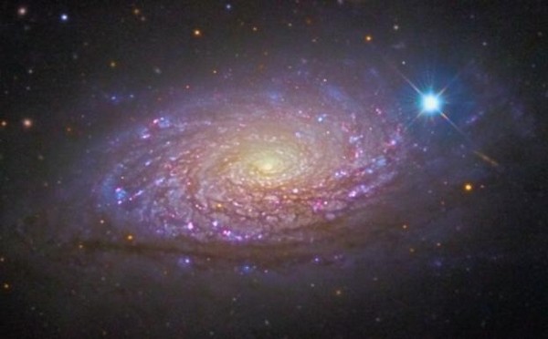 Un nouveau lien entre distributions de matière visible et de matière noire dans les galaxies