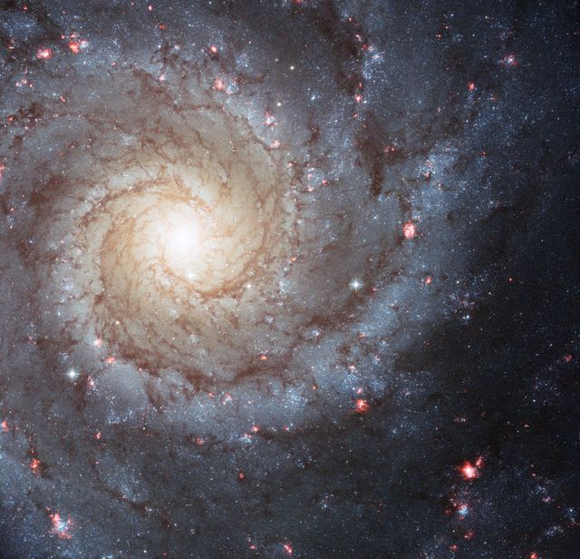 M74 : Une galaxie spirale resplendissante