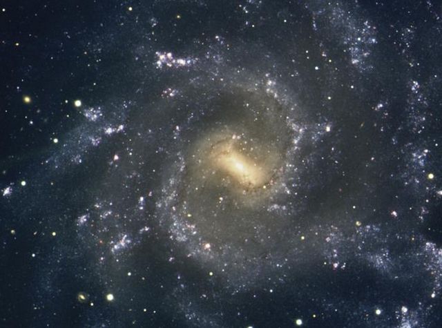 La répartition des étoiles jeunes dans les galaxies spirales barrées