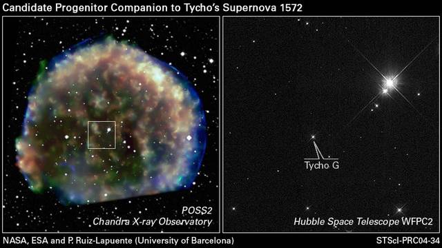 Découverte du compagnon de la supernova de Tycho Brahe