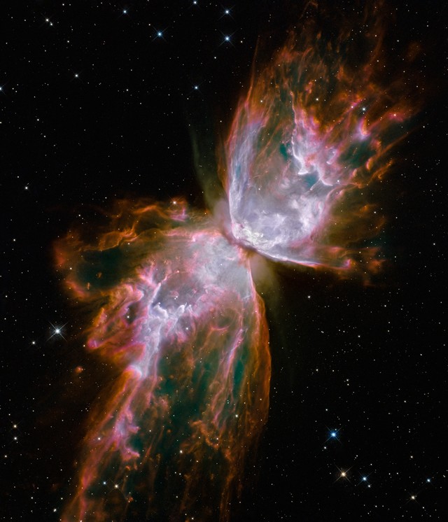 Nuit des étoiles 2010: 20ème anniversaire