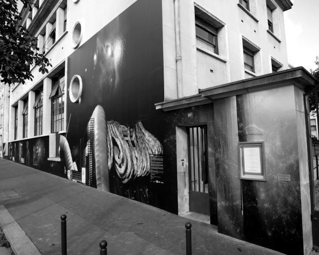 "Éther", une fresque photographique sur la façade de l'Institut d'Astrophysique de Paris