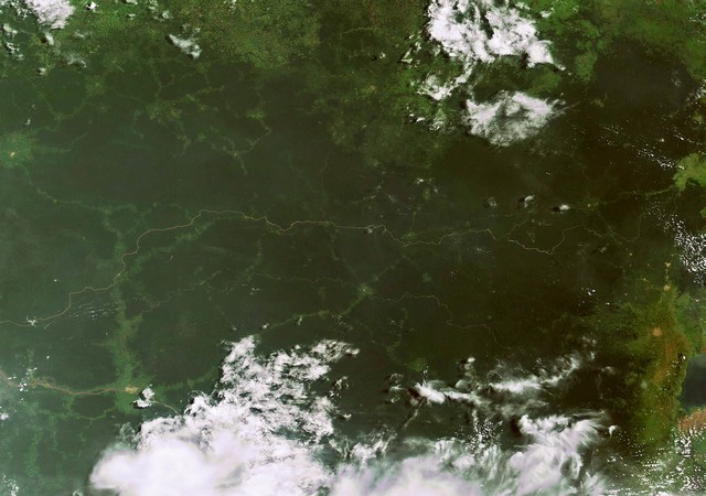 Rivières et forets vierges vues de l’espace