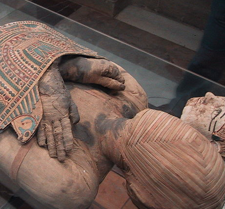 L'ADN de momie révèle les mystères génétiques des anciens Égyptiens