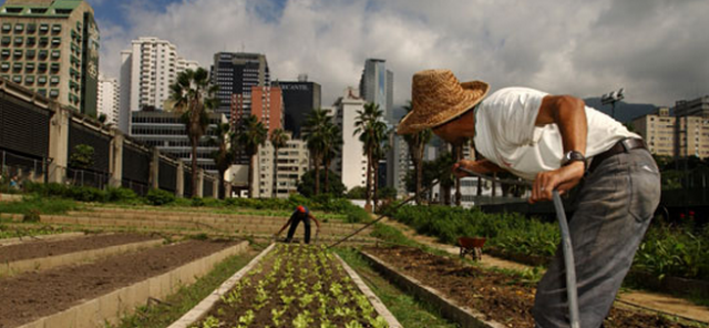 L’agriculture urbaine