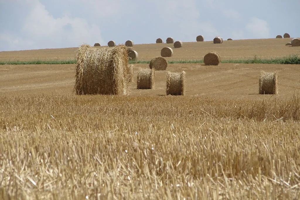 Diminuer de moitié les terres cultivées pour le climat et la biodiversité