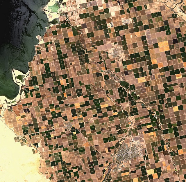 Un désert irrigué vu de l'espace