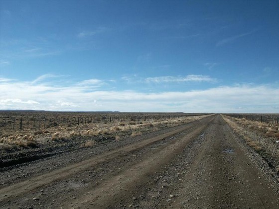 Darwin revisité : les terrasses de Patagonie