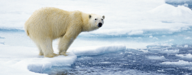Mieux prédire la fonte des glaces, pour une meilleure prévention des changements climatiques