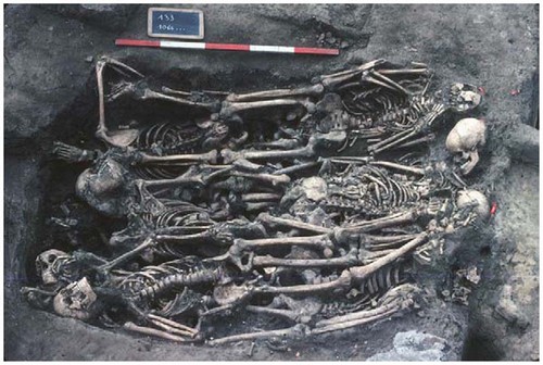 Des squelettes du XVIIIème siècle révèlent une épidémie de typhus venant d'Espagne