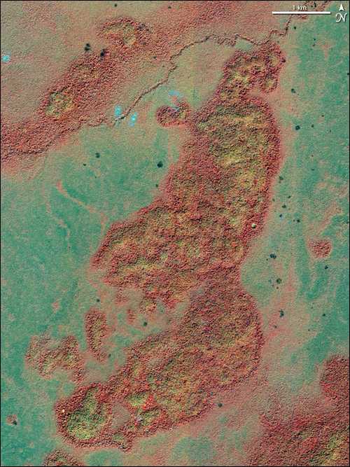 Des ruines mayas, invisibles au sol, vues de l’espace