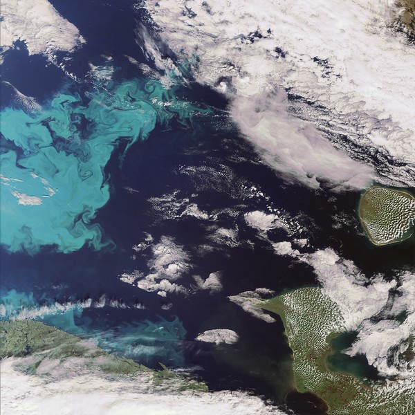 Floraison arctique vue de l’espace