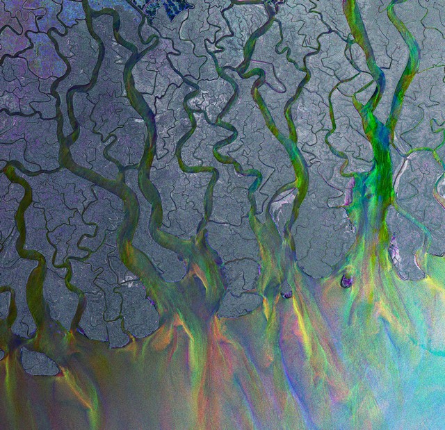 Le Delta du Gange observé au radar depuis l’espace