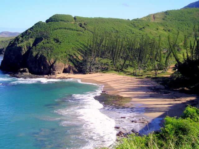 Nouvelle-Calédonie: création d'un portail dédié à la biodiversité