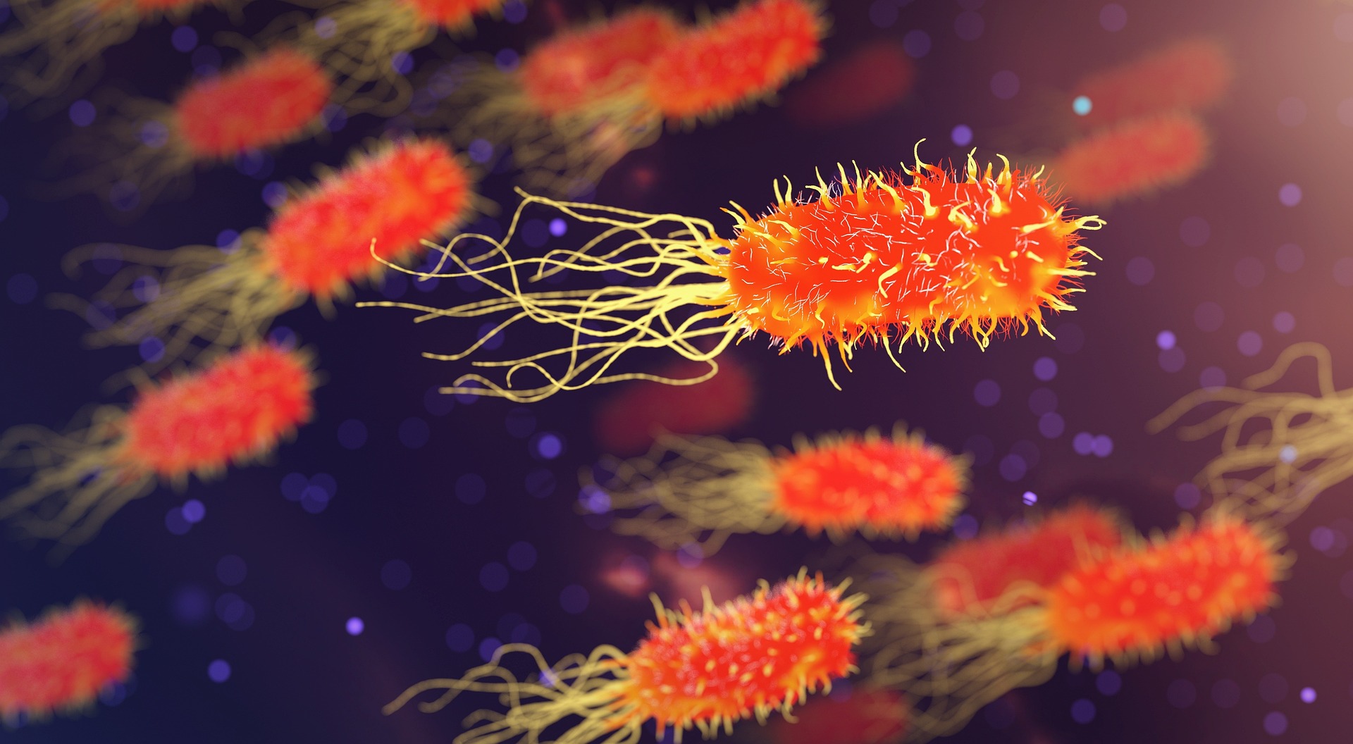VIDEO - Cette IA autonome effectue jusqu'à 10.000 expériences de microbiologie par jour