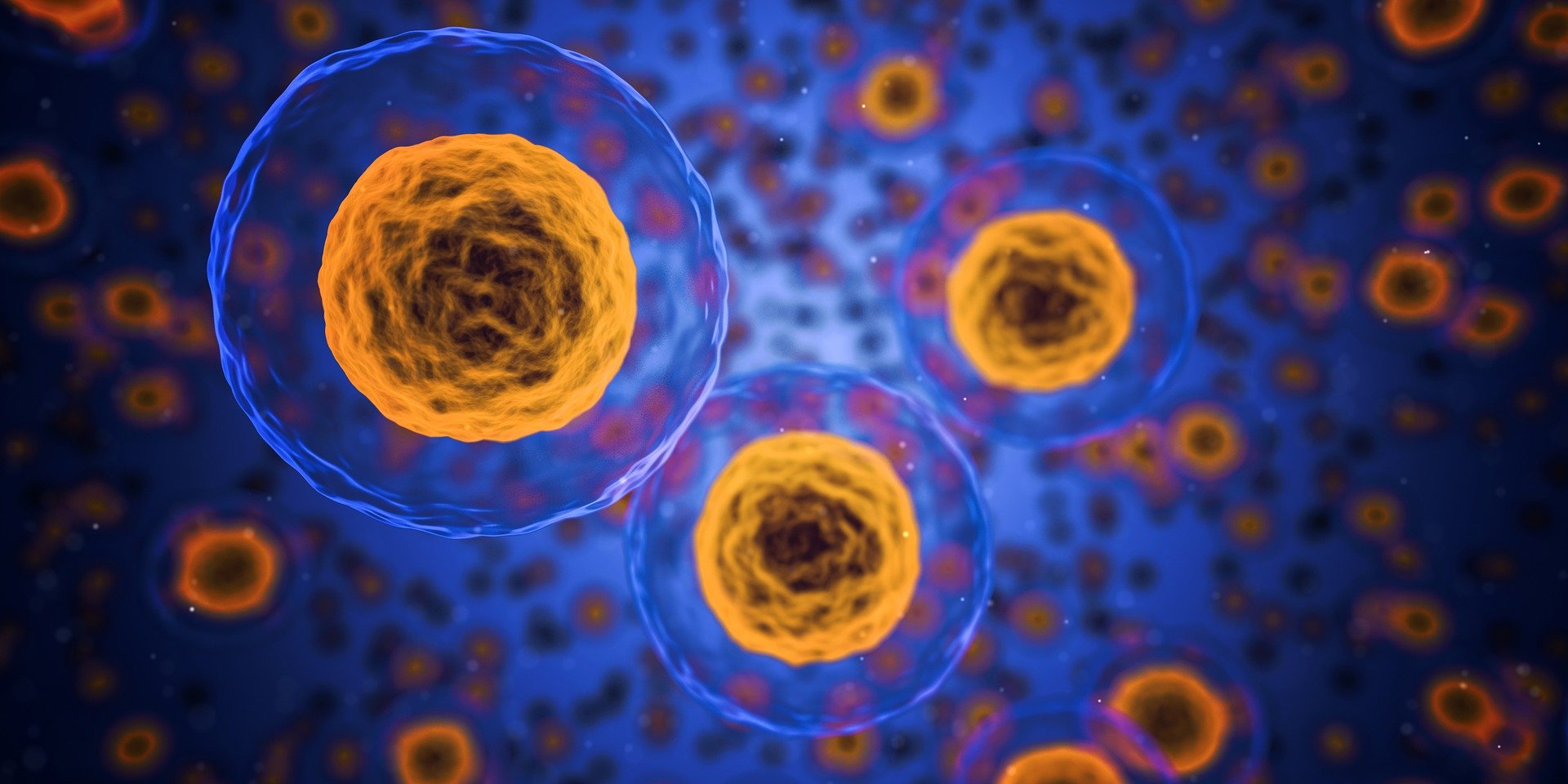Vidéos : fabriquer des cellules artificielles en s'inspirant du vivant