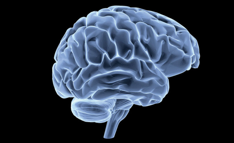 Des chercheurs identifient l’origine d’un cancer du cerveau mortel