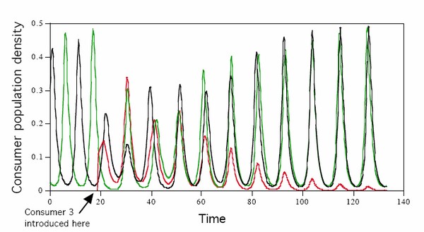 La théorie des oscillateurs pour élucider une énigme biologique